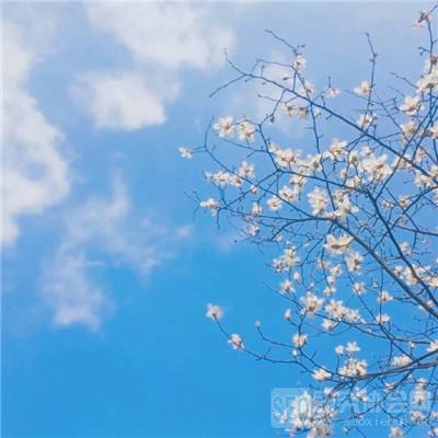 cq9电子游戏app下载手机版