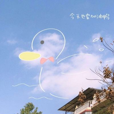 kok全站app官网登录入口