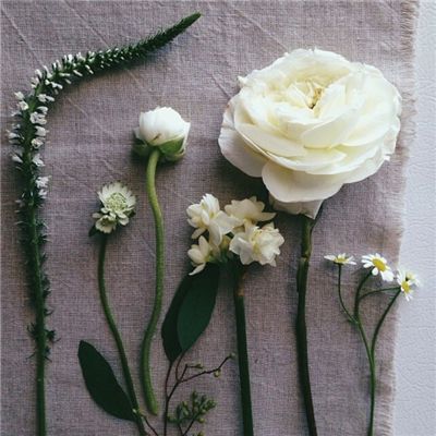 打鱼下载app下载